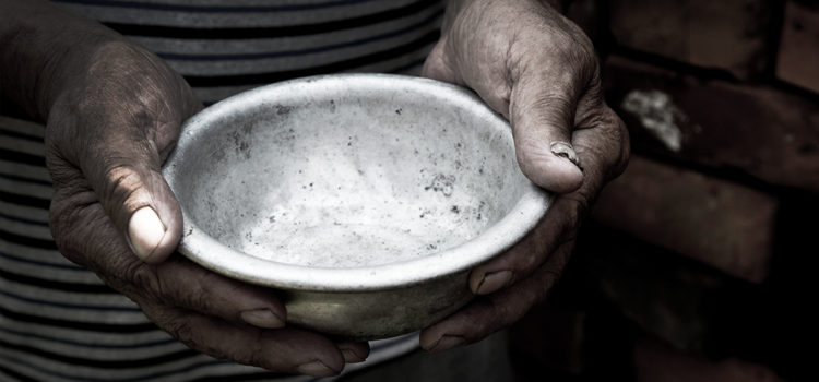 Mais de 33 milhões de pessoas passam fome no Brasil, segundo pesquisa