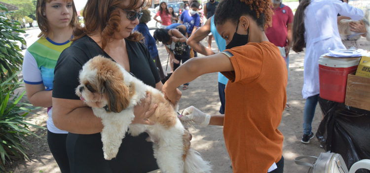 Feira de Santana não registra caso de raiva humana há 21 anos