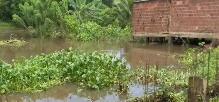 Mais de 50 municípios baianos sofrem com transtornos causados pelas chuvas e 65,5 mil pessoas foram afetadas