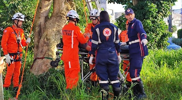 Jovem é resgatado após subir em árvore no bairro Ponto Central