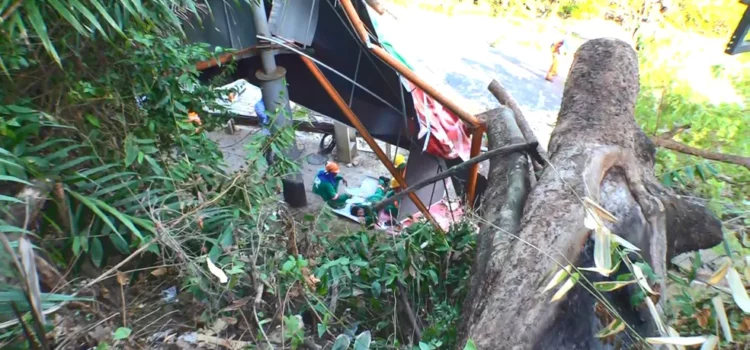 Motociclista é atingido por árvore em Salvador e trabalhador sofre acidente ao podar tronco horas depois