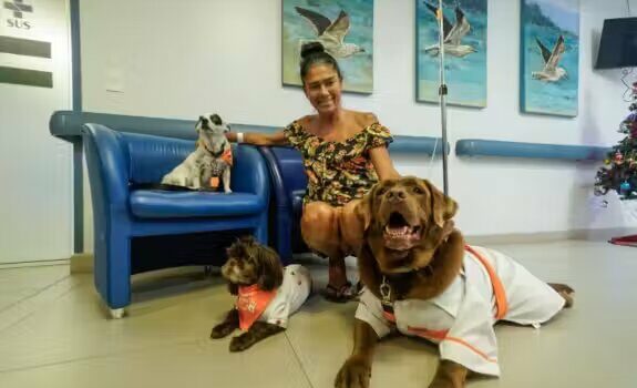 Cães terapeutas visitam pacientes com câncer e levam alegria a hospital