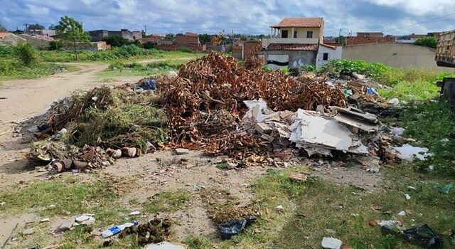 Infestação de animais peçonhentos preocupa moradores do bairro Mangabeira