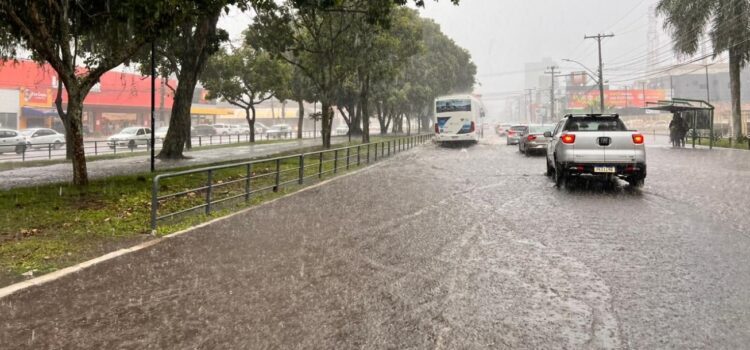 Após chuvas, Defesa Civil não registra ocorrências relacionadas a pessoas em situação de risco