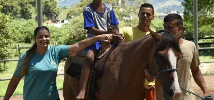 Terapia com cavalos abandonados ajuda crianças e detentos em projeto premiado