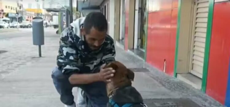 Justiça manda devolver cão tirado de pessoa em situação de rua; tinha sido entregue para adoção