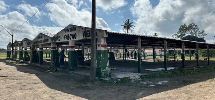 Pavilhão de caprinos e ovinos no Parque de Exposições recebe nova cobertura