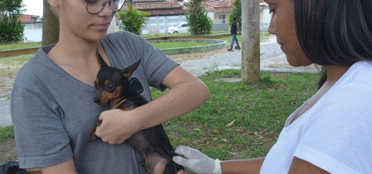 Com baixa procura, Prefeitura intensifica vacinação antirrábica em seis bairros neste sábado