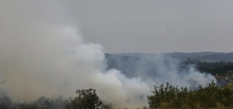 São Paulo: dois homens são presos por suspeita de incêndios criminosos