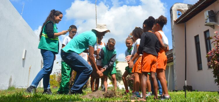 Crianças ajudam no plantio de mudas de árvores em escola municipal