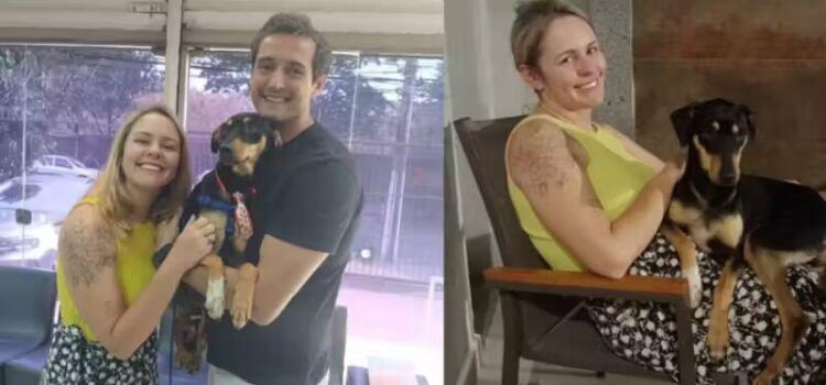 Família viaja 100km para adotar Arthur, cão vira-lata rejeitado em 20 feiras de adoção