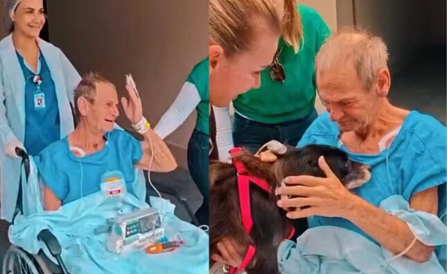 Após visita de cadela, idoso melhora e tem alta da UTI