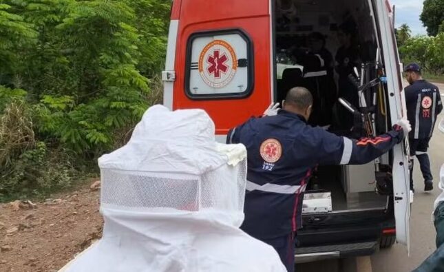 Idoso de 89 anos é atacado por abelhas enquanto trabalhava em fazenda na Bahia