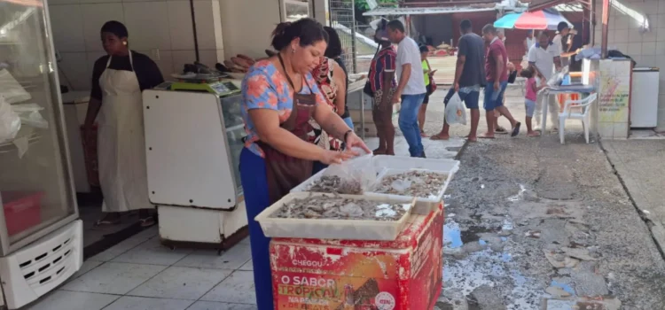 Feira de Santana registra aumento na venda de peixes com a chegada da Quaresma; confira os preços